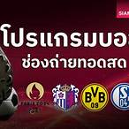 ดูบอลไทยช่องไหน
